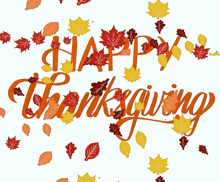 the word thanksgiving is surrounded by falling leaves on a white background