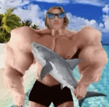 a very muscular man is holding a shark in his hands .