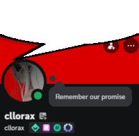 a screenshot of a person 's profile with a speech bubble that says " remember our promise "