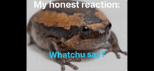 Honest Reaction My Honest Reaction Meme Meme