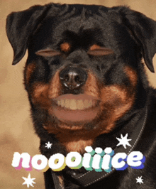 a picture of a dog with the word noooiiice written above it