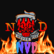 a logo that says nvd on it in front of a fire