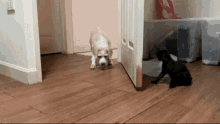 a dog and a cat are standing next to each other on a wood floor