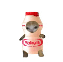 a bottle of yakult yogurt with a cat in it .