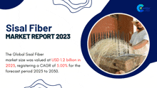 a sisal fiber market report for 2023 shows a man making a straw hat