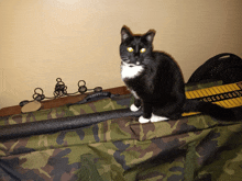 a black and white cat sits on a camouflage bag