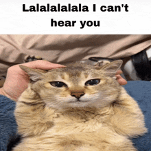 a person petting a cat with the words " lalalalala i can 't hear you " above it