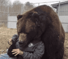 a man is hugging a large brown bear who is wearing a sweatshirt that says ' a & m ' on it