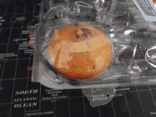 a muffin in a plastic container on top of a map that says south africa