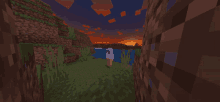 a minecraft scene with a sunset in the background and a person standing in the grass