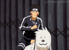 a man is riding on the back of a white dog