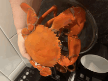 a person is holding a crab in front of a stove that has a button that says ' boil ' on it