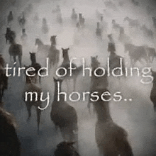 a herd of horses walking in the fog with the words `` tired of holding my horses '' .