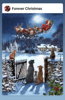 a painting of santa in a sleigh with dogs and a cat