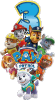 a group of paw patrol dogs standing next to the number 3