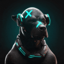 a dog wearing headphones and a collar has a cross on its head