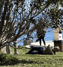 a man laying under a tree looking at his phone