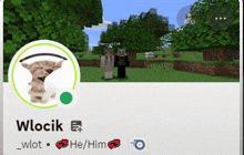 a screenshot of a person 's minecraft account with the name wlocik