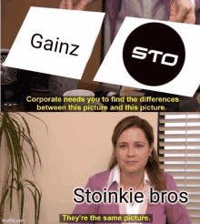 corporate needs you to find the differences between this picture and this picture stoinkie bros they 're the same picture ..