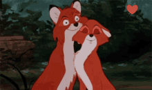 a couple of foxes hugging each other with a red heart in the background