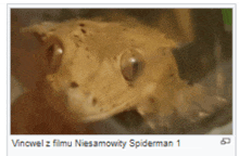 a picture of a lizard with a caption that says vincwel z filmu niesamowity spiderman 1