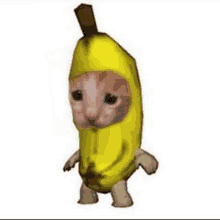 a cat is wearing a banana costume with a banana on its head .