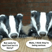 two badgers are talking to each other with one saying but early for april fool isn t it gerry