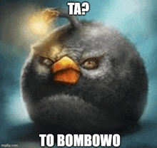 an angry bird with a bomb on its head and the words ta ? to bombowo