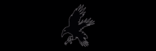 a drawing of a crow flying in the dark