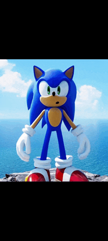 a sonic the hedgehog standing on top of a rock overlooking the ocean