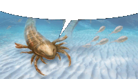 an illustration of a crab with a speech bubble in the background