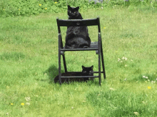 two black cats are sitting on a black folding chair in the grass