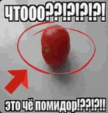 a picture of a tomato with a red circle around it and an arrow pointing up