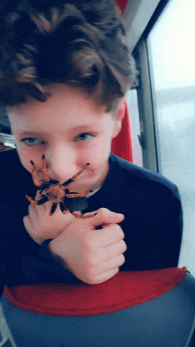 a young boy is holding a small spider in his hand