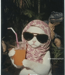 a white cat wearing sunglasses and a scarf is holding a cup of orange juice