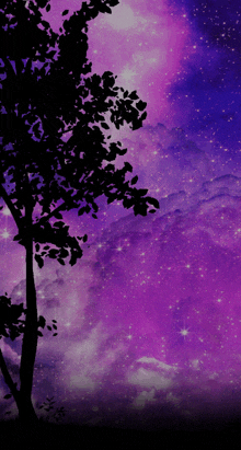 a tree silhouetted against a purple sky