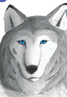 a drawing of a wolf with blue eyes looking at the camera