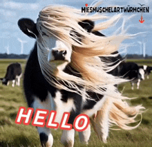 a cow with long hair is standing in a field with the words hello written on it .