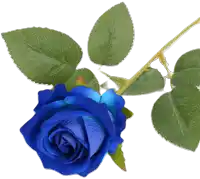 a blue rose with green leaves is against a white background