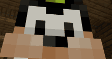 a close up of a minecraft character with a green hat