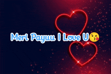 a poster that says meri payuu i love u on it