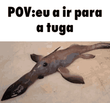 a fish with a long nose is laying on a cutting board with the caption pov : eu a ir para a tuga