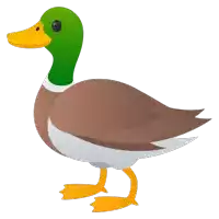 a duck with a green head and yellow beak is standing on a white background