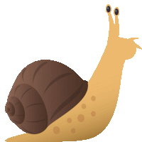 a cartoon illustration of a snail with two eyes