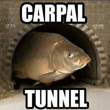 a fish is coming out of a tunnel with the words carpal tunnel above it