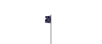 a purple flag with a skull on it is flying in the wind on a pole .