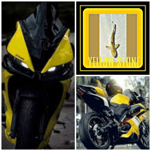 a yellow and black motorcycle with a picture of a shark on the front .