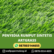 a picture of a field of green grass with the words penyedia rumput sintetis artgrass above it