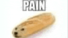 a blurred image of a dog shaped bread loaf with the word pain written above it .