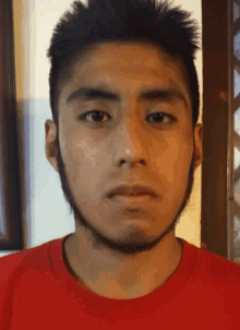 a man with a beard and a red shirt looks at the camera